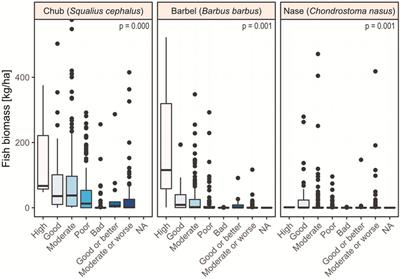 Hydro-morphological stressors reduce distribution range and affect population status of cyprinid fishes in Austria